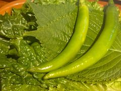 -济州爱肉堂(总店)