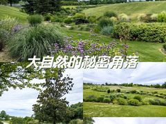 -上海辰山植物园