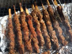 -吴淞炮台湾湿地森林公园烧烤区