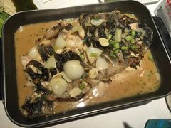 -鱼酷活鱼烤鱼(张江长泰店)