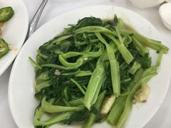 -新陶陶酒家