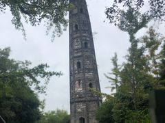 -上海佘山国家森林公园天马山园