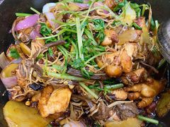 茶树菇香辣鸡煲-清真重庆巴爷香辣鸡煲(南小巷店)