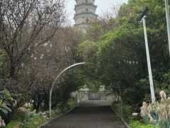 -祥源·阜阳生态乐园