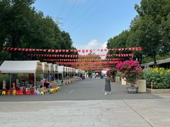 -仙岳公园