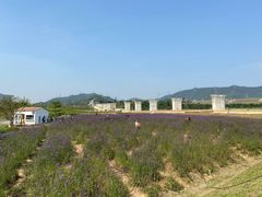 -光明小镇欢乐田园
