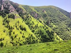 -蔚县茶山村