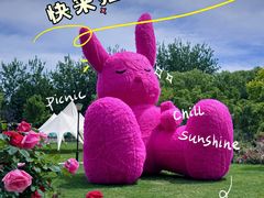 -大望京公园