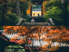 -灵隐飞来峰景区