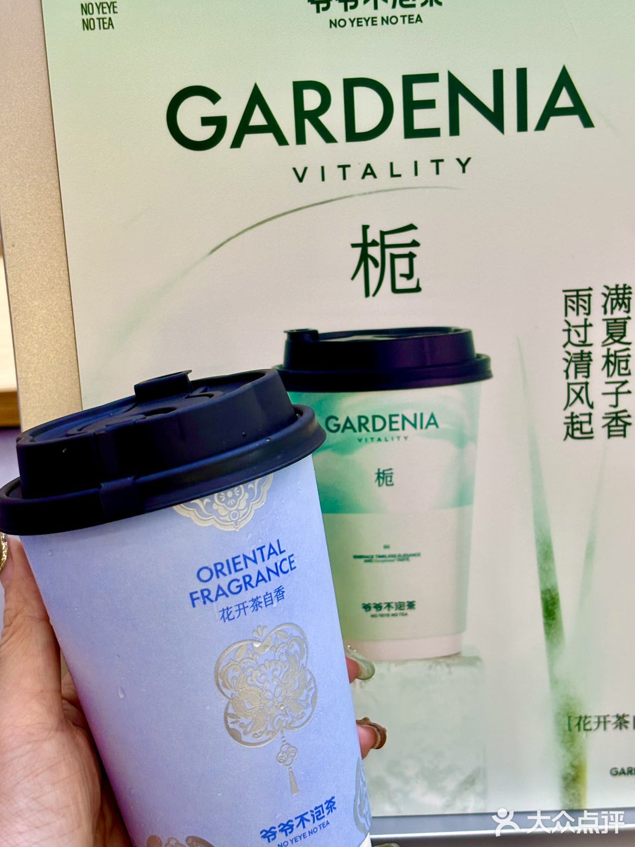 【爷爷不泡茶】青岛也能喝到啦！
