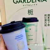 【爷爷不泡茶】青岛也能喝到啦！