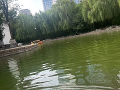 -团结湖公园