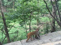 -黔灵山公园-南门售票处