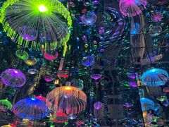 -成都梵高星空艺术馆(春熙路旗舰店)