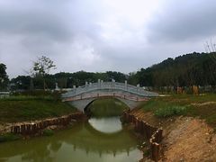-王借岗森林公园