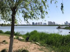 -水西公园