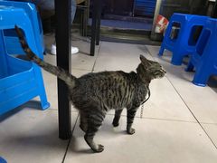 -嵊州特色小吃(萧山街店)