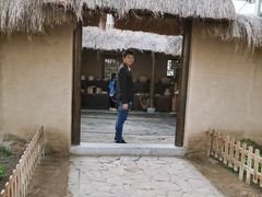 -上海都市菜园