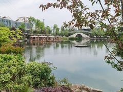 -天府芙蓉园