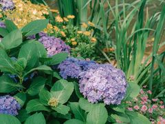 -人民公园(罗湖区)