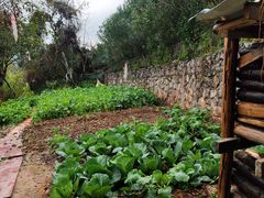 -生态苑农庄(十里画廊遇龙河店)