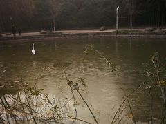 -西安市长乐公园