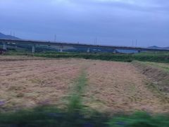 -光明小镇欢乐田园
