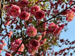 -南通博物苑-崇川人民公园