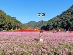 -广州市石门国家森林公园