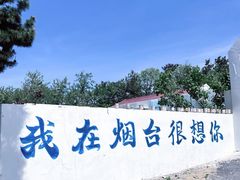 -养马岛旅游度假区