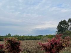 -白鹭湾湿地公园