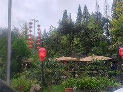 -青城甲(青城山店)