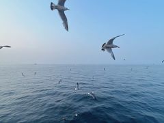 -星海广场