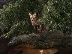 -杭州野生动物世界