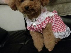 -爱侣宠医·鹦鹉专科·小型哺乳类·异宠专科(灵石路店)