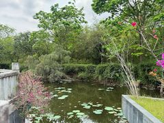 -大屏嶂森林公园