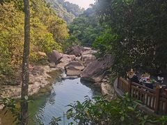 -广州白江湖森林公园