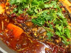 -重庆鸡公煲·青锅花椒鱼(牡丹江路店)