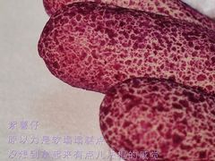 -吴酥生宫廷酥饼(南门口店)