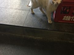 -老头盖浇饭(南京新街口明瓦廊宏光酒店店)