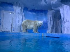 -多彩贵州城极地海洋世界