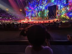 -广州长隆国际大马戏