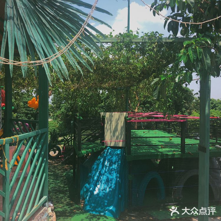 藏在山里的奇妙农庄