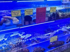 -新海渔港·胶东海鲜家常菜·家宴(奥体中心店)