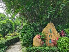 -晓港公园