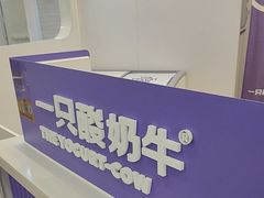 -一只酸奶牛(来福士店)
