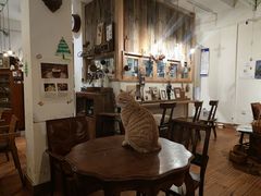 -懒鱼时光馆(沙坪坝店)
