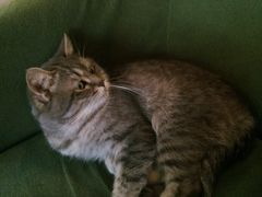 天使咖啡-天使咖啡(兴新街店)