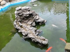 景观位-寻味肇庆·八姑农庄·广府西江菜