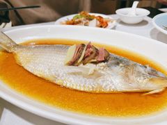 鲥鱼-老人和饭店(淮海中路店)